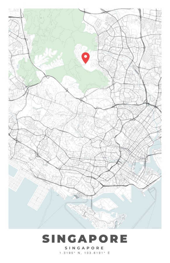 SINGAPORE City Map Poster